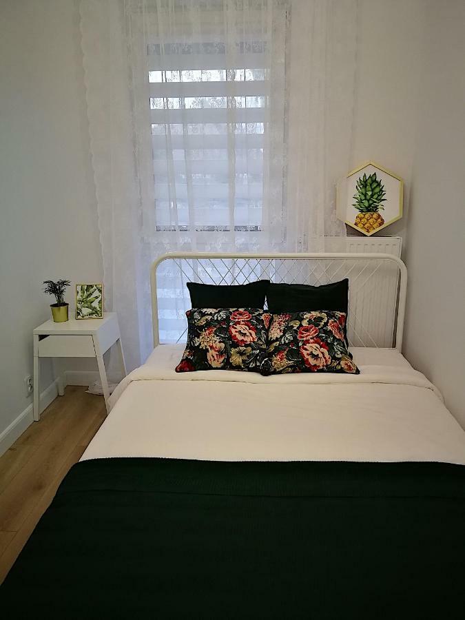Nova Apartments - Rakowicka Cracovia Esterno foto